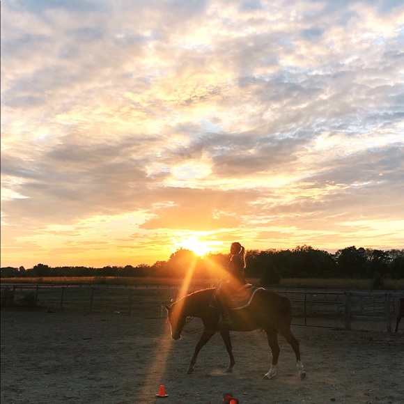 Meet your Posher, Amelia - Picture 4 of 6